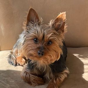 Meet your Posher, Marco